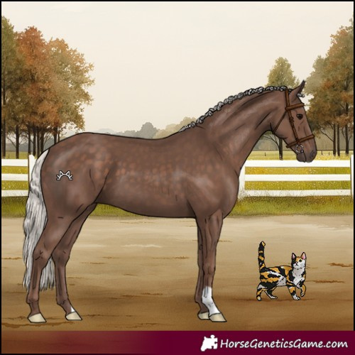 Horse Color:Silver Black