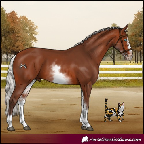 Horse Color:White Spotted Silver Brown Splash Frame 