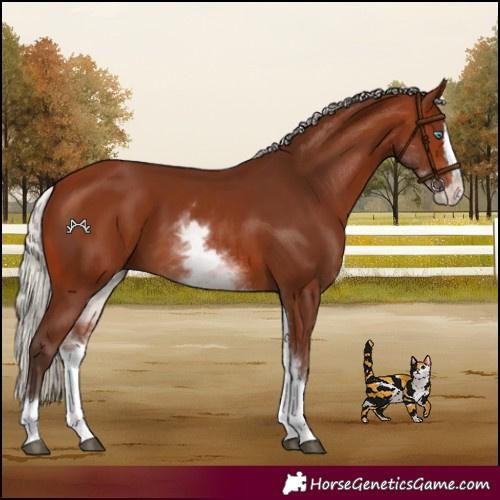 Horse Color:White Spotted Silver Brown Splash 