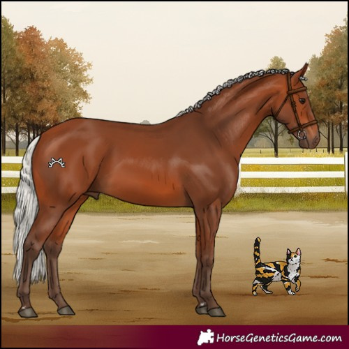 Horse Color:Silver Bay