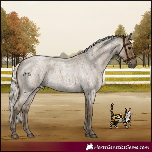 Horse Color:Silver Smoky Blue Roan