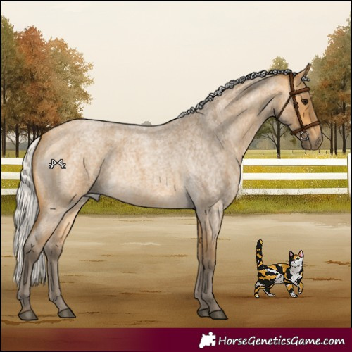 Horse Color:Silver Buckskin Roan