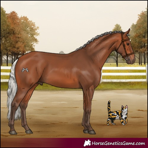 Horse Color:Silver Bay