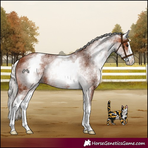 Horse Color:White Spotted Silver Brown Splash 