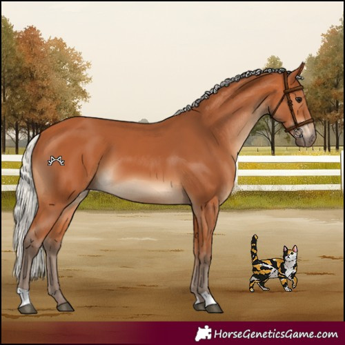 Horse Color:Silver Bay