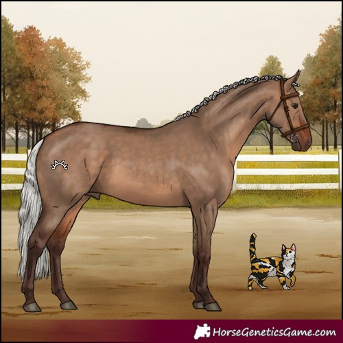 Horse Color:Silver Bay Dun