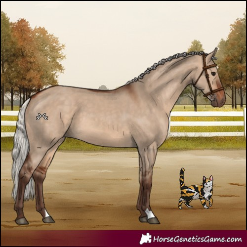 Horse Color:Silver Bay Dun