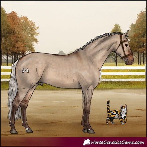 Horse Color:Silver Bay Dun