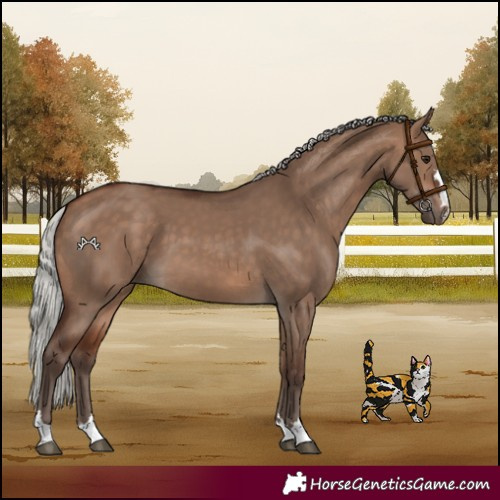 Horse Color:Silver Bay Dun 