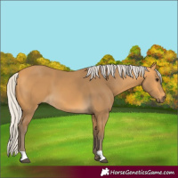 Horse Color:Silver Buckskin