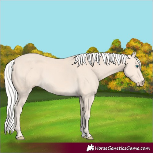Horse Color:Silver Perlino