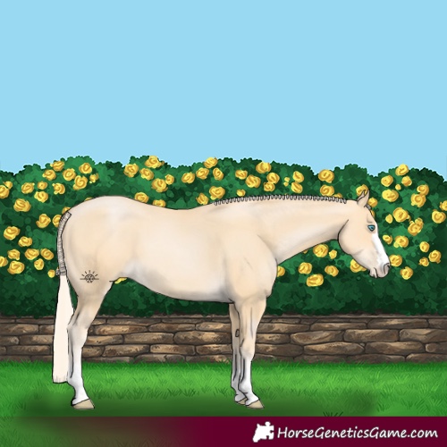 Horse Color:Palomino Pearl