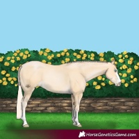 Horse Color:Palomino Pearl