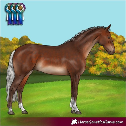 Horse Color:Silver Brown Tobiano 
