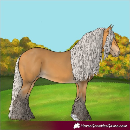Horse Color:Silver Buckskin