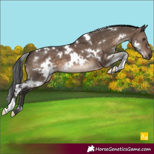 Horse Color:Unknown 