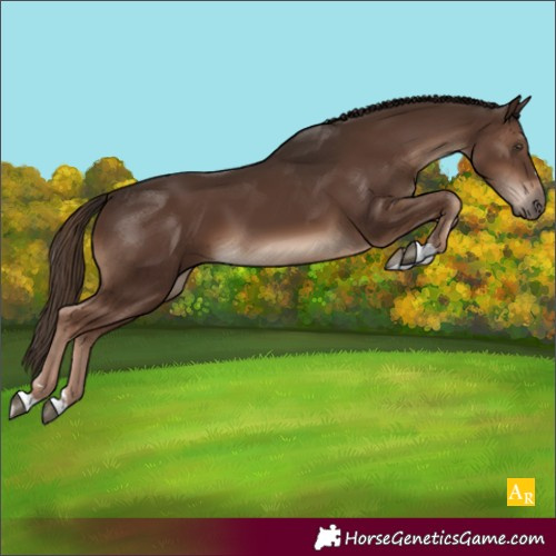 Horse Color:Liver Chestnut 