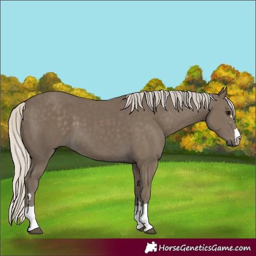 Horse Color:Silver Smoky Black 