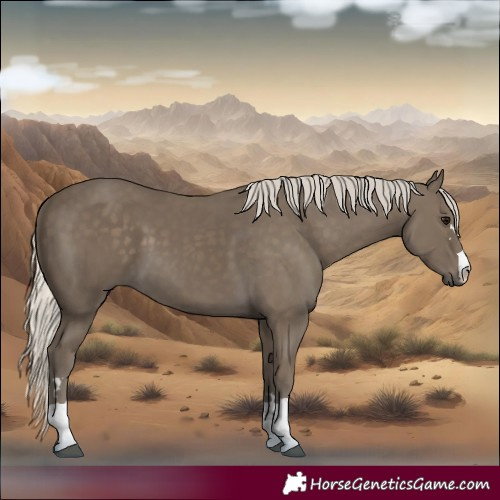 Horse Color:Silver Smoky Black