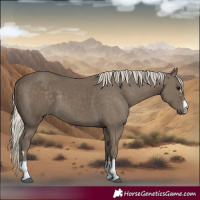 Horse Color:Silver Smoky Black