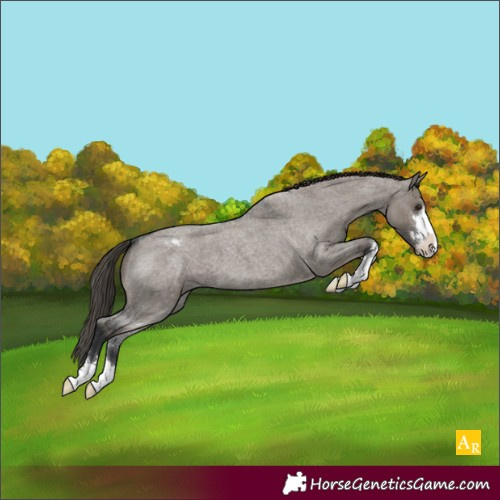 Horse Color:Grullo Roan Varnish 