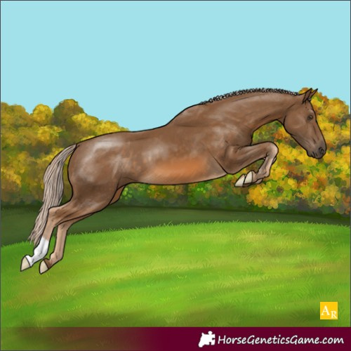 Horse Color:Chocolate Palomino 