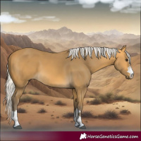 Horse Color:Silver Buckskin 