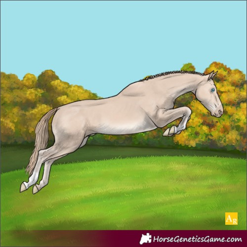 Horse Color:Perlino 