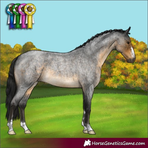Horse Color:Gray Buckskin Roan 