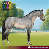 Horse Color:Gray Buckskin Roan