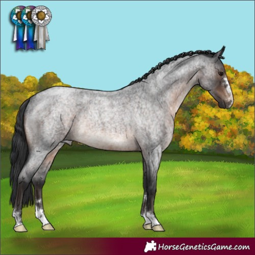 Horse Color:Brown Roan Rabicano 