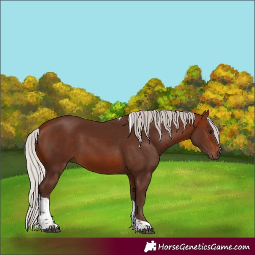 Horse Color:Silver Bay Tobiano 