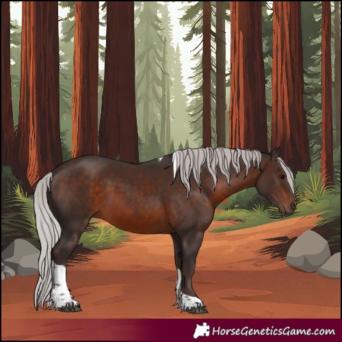 Horse Color:Silver Brown Tobiano