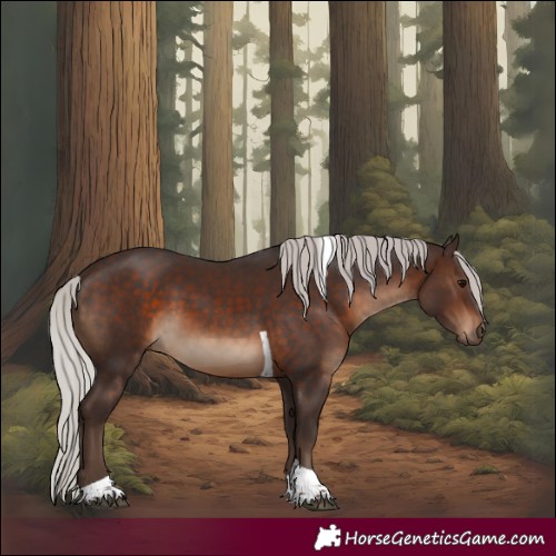 Horse Color:Silver Brown Tobiano 