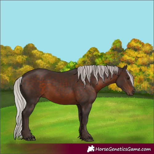 Horse Color:Silver Brown