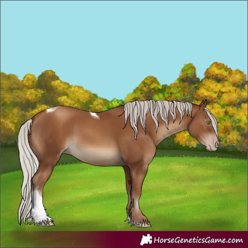 Horse Color:Gray Silver Classic Champagne Tobiano 