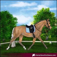 Horse Color:Silver Buckskin