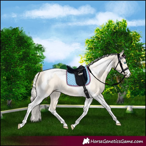 Horse Color:Cremello Dun Tobiano 