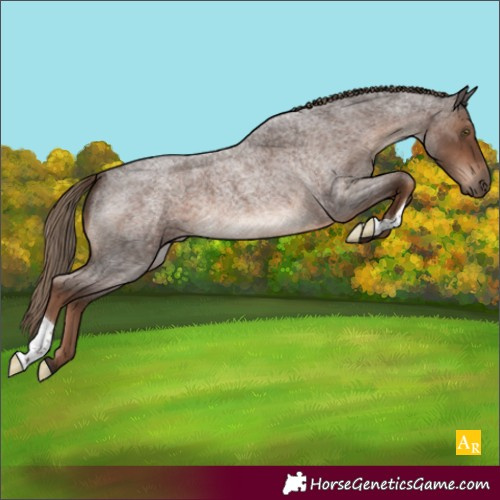 Horse Color:Liver Red Roan 