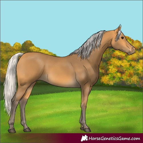 Horse Color:Silver Buckskin