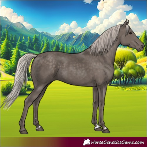 Horse Color:Silver Black