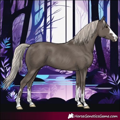 Horse Color:Silver Black 