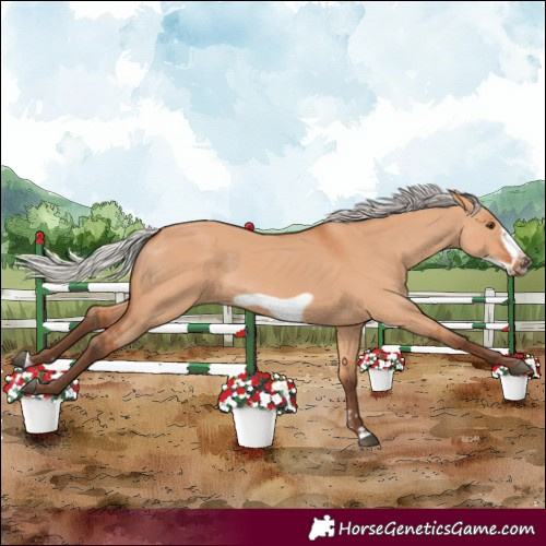 Horse Color:Silver Bay Dun Frame 