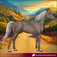 Horse Color:Silver Black 