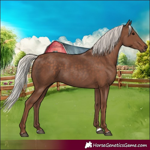 Horse Color:Silver Black 