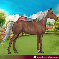 Horse Color:Silver Black 