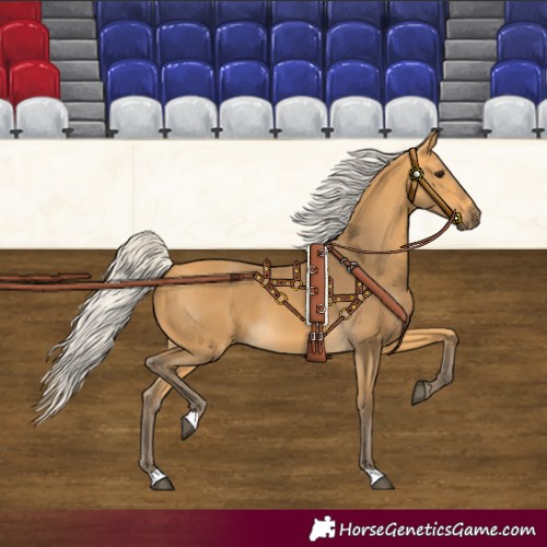 Horse Color:Silver Buckskin 