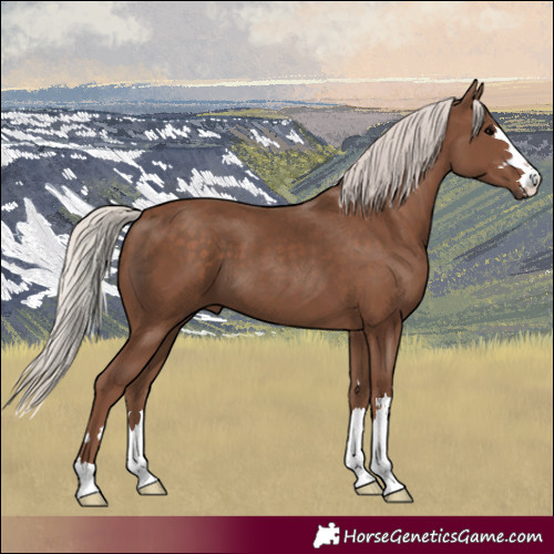 Horse Color:Silver Black