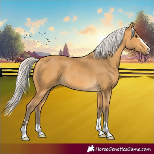 Horse Color:Silver Buckskin