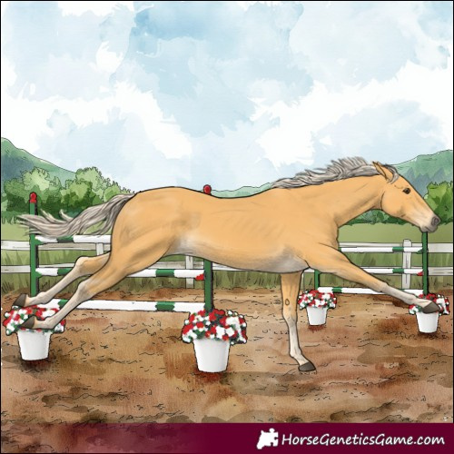 Horse Color:Palomino